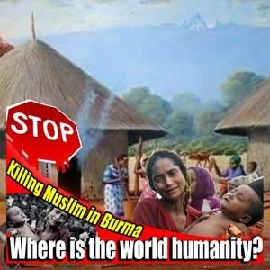 Meet your Posher, Hassan